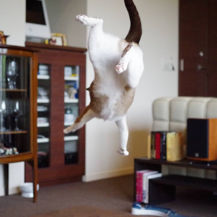 D797ed8b 3725 4e98 89d4 e809755e96de