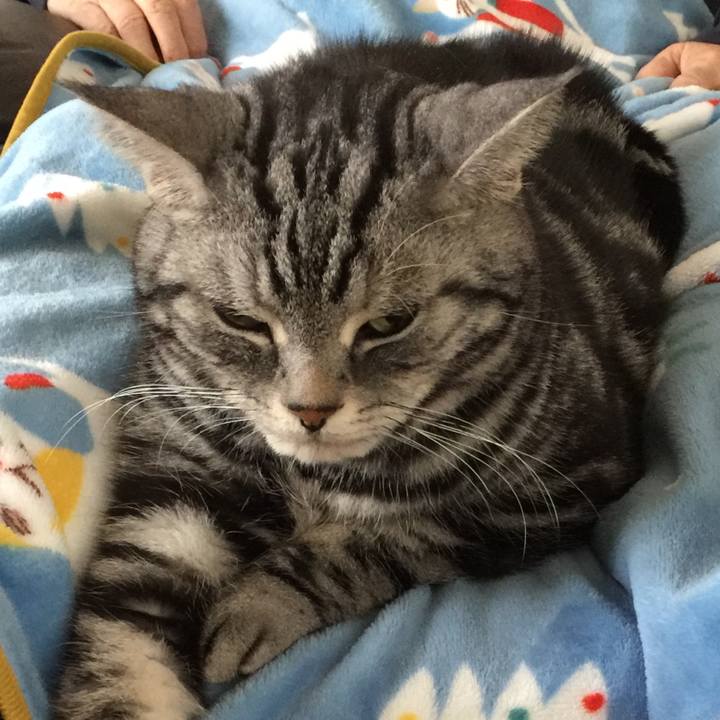 D7990cb5 242a 4a74 bb83 23352516d36f