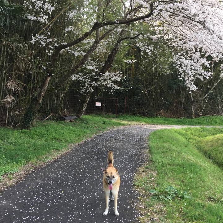 D7996401 53ef 49b6 b480 6db2ac5582ed