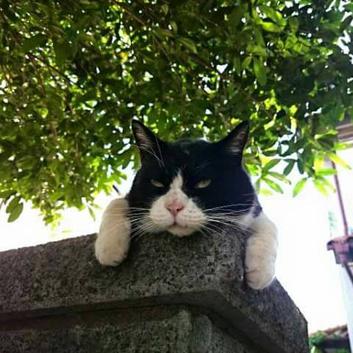 D799edb2 2fea 443d 99b4 4e53e66b8e09