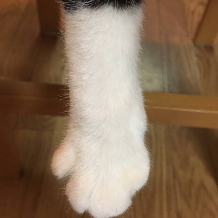 D79ac5de 364d 4aeb b860 df32e047a61f