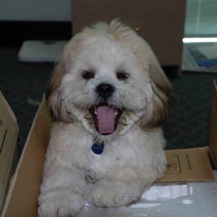 D79ac7ee 98d4 4cc9 ad6b 9da0409483e0