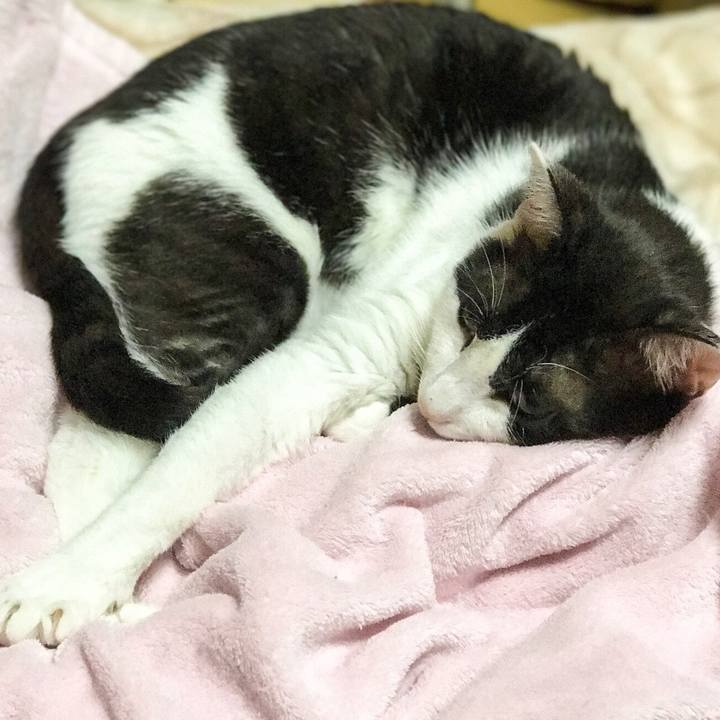 D79b1edf cdf5 4e96 8f7a 4233ea5fcf55