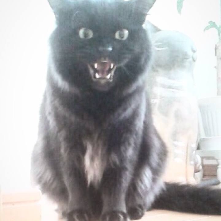 D79b8275 3ca2 421c 8193 234c22170bc0