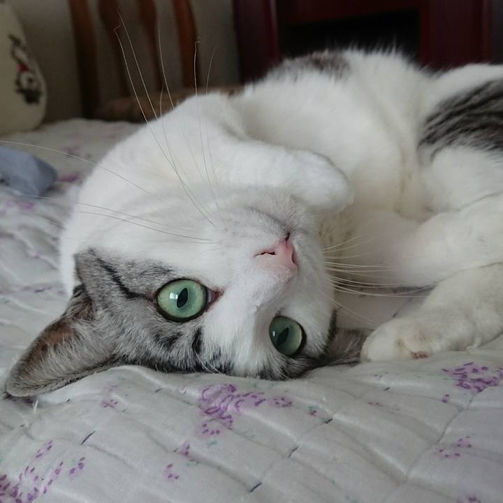 D79ba527 34fe 4d73 90e6 11f1c6fd5bf7