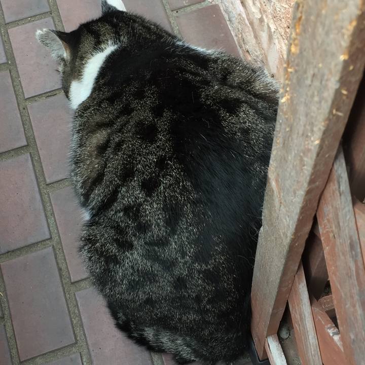 D79c97b3 c9f4 4329 aa0a d92ea0568def