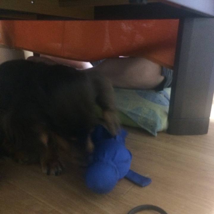 D79dc4a1 157e 470d 8e44 5406888b05a5