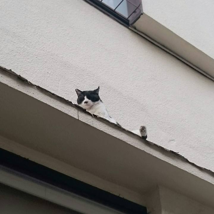 D79ddbf0 ebe3 4e5d bfce 21d0d7019ed9