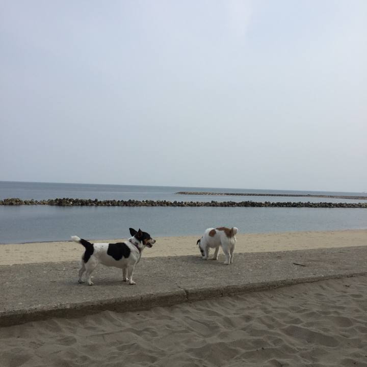 D79df392 ef00 4f10 8fc1 1c2f8162df6f