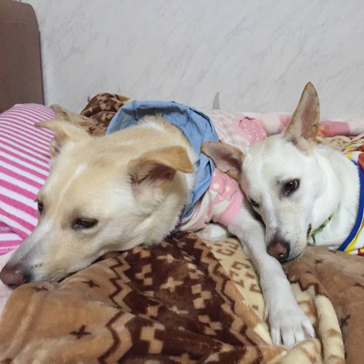 D79eb237 6ae4 4fb6 85b6 0c0636a48d83