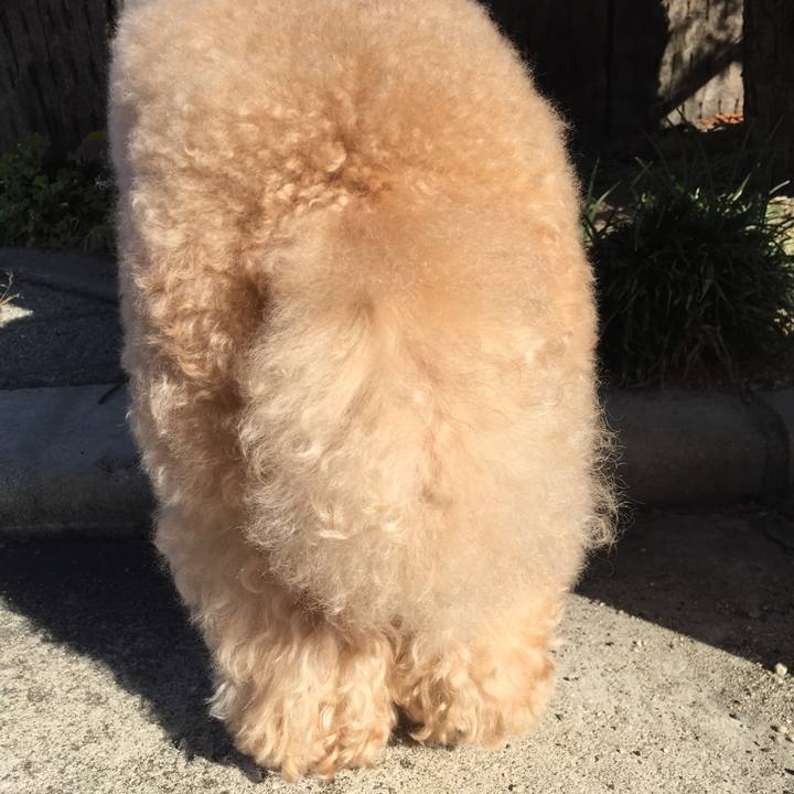 D79eedf6 b31b 456f b150 25a59f90ef2a