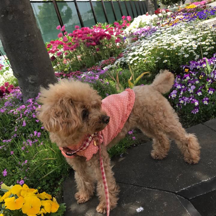 D7a00928 1a5f 42ca 9195 e5338599dbee