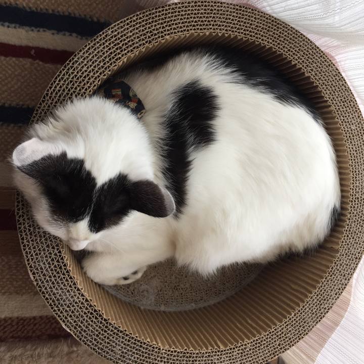 D7a0e197 51f5 4fca b866 3fd7e6cc194a