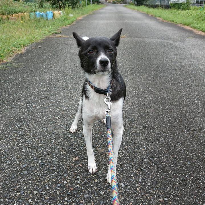 D7a0f0b9 e369 4bdf 92ef 626e1119c483