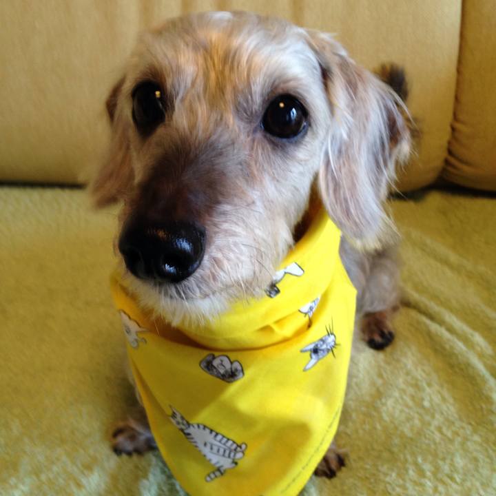 D7a15ccf e8f1 4c20 b3b7 50c3c078f3fa