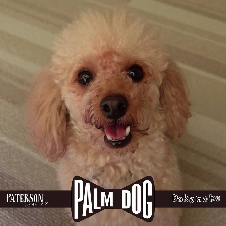 D7a1acc0 3682 48c9 b1c3 bc6e29f10d19