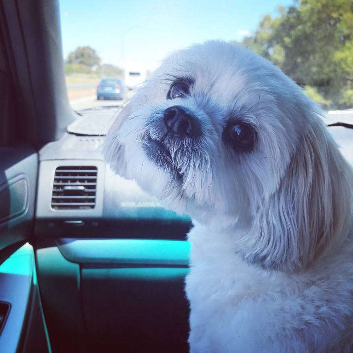 D7a1ddb7 d494 4cf1 bd68 8fc20650daab