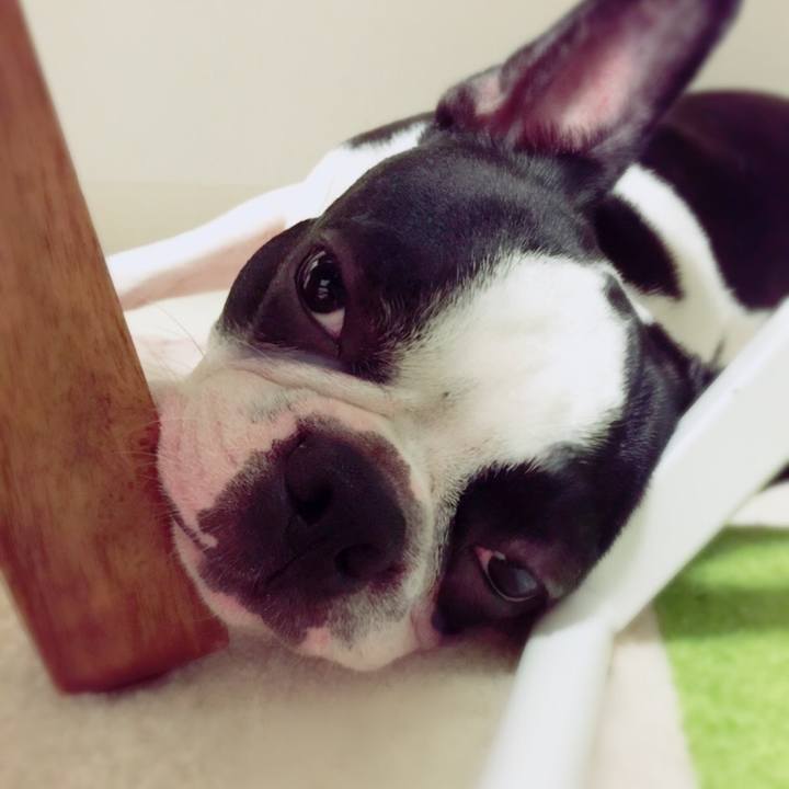 D7a1e2d8 9fd4 49d5 a31d 69fe805c0922