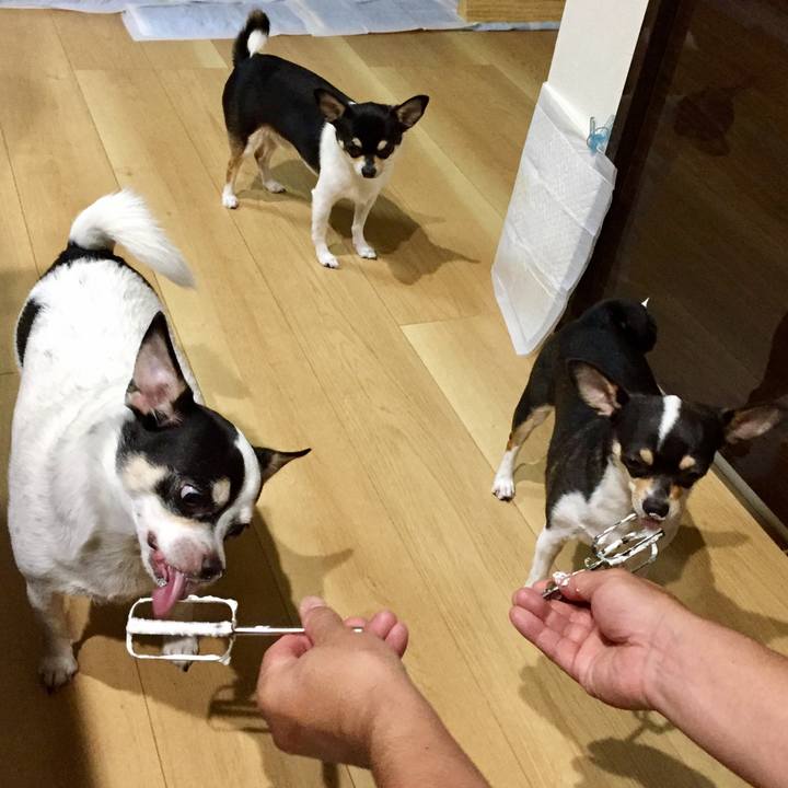 D7a1f582 0539 4cbc 83d8 4dc0e22f1986