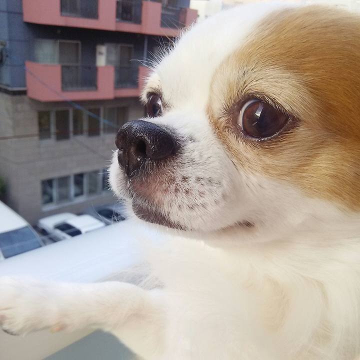 D7a24194 a3e1 4c5d 924e aa9b17f2e888