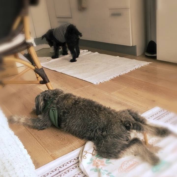 D7a40f25 6824 4658 8b2d 46f8390d6569