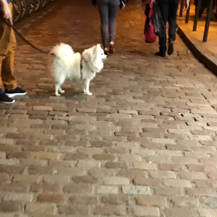 D7a48f91 7cf3 4eab 88c2 7a7116536347