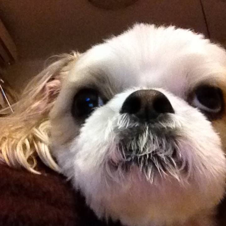 D7a4bc98 a824 45ba 8673 081e7581b43d