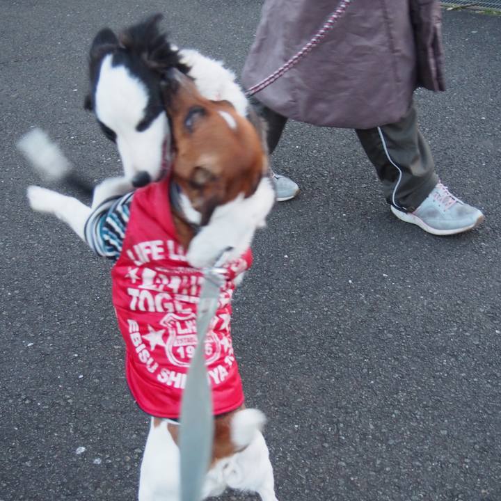 D7a4fd75 53a0 4455 b6d0 c17ab2615ee5