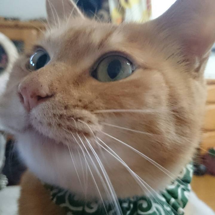 D7a50473 3e66 4692 ba7f 25491172f1dc