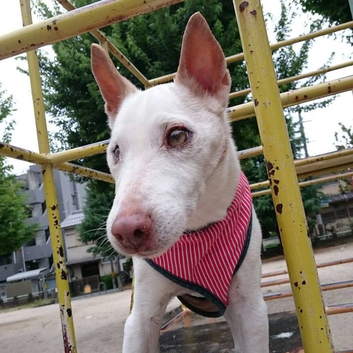 D7a55774 4b66 4c19 8ed4 62791854975c