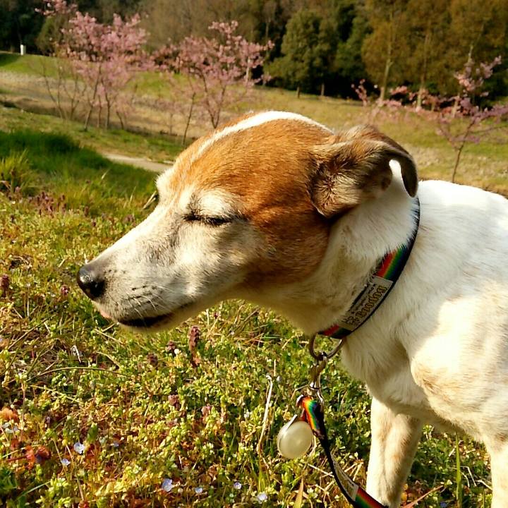 D7a56cb0 6b4f 4628 a873 01da5edf90f1