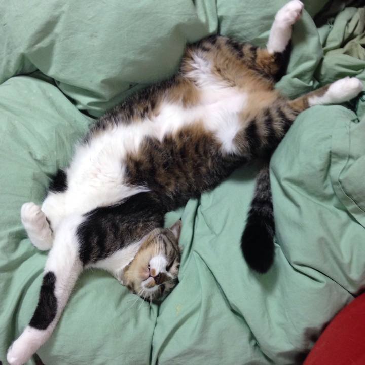 D7a58064 48d3 4d82 aced 9643e8602fc5