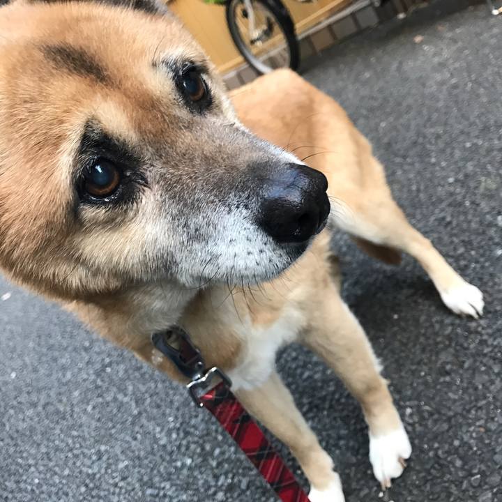 D7a58571 4d3d 4f18 ad82 9c2b199106ea