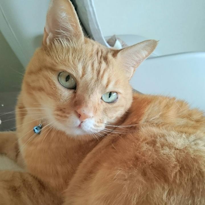 D7a6e7d1 48bb 494b 8966 95ba5d202851