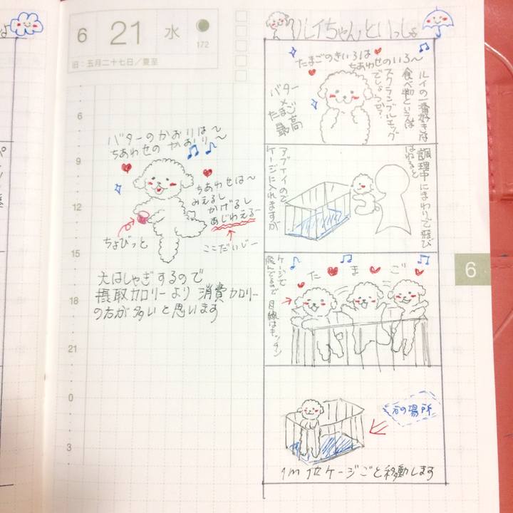 D7a70331 4c50 4bc2 ab1b b9f85858ab82