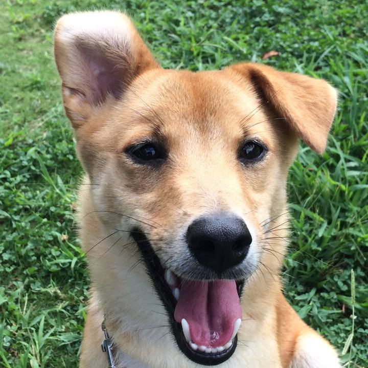 D7a705db 919d 4059 b600 17c0eeb45839