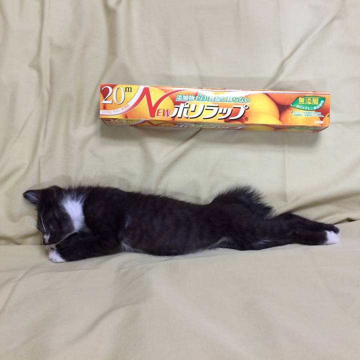 D7a7a7d3 2983 4276 bb52 0b46e829cf70