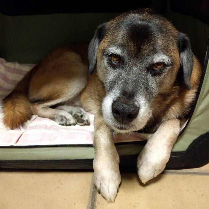 D7a7cfcf 7987 4b09 9caf 19f59279b3a0