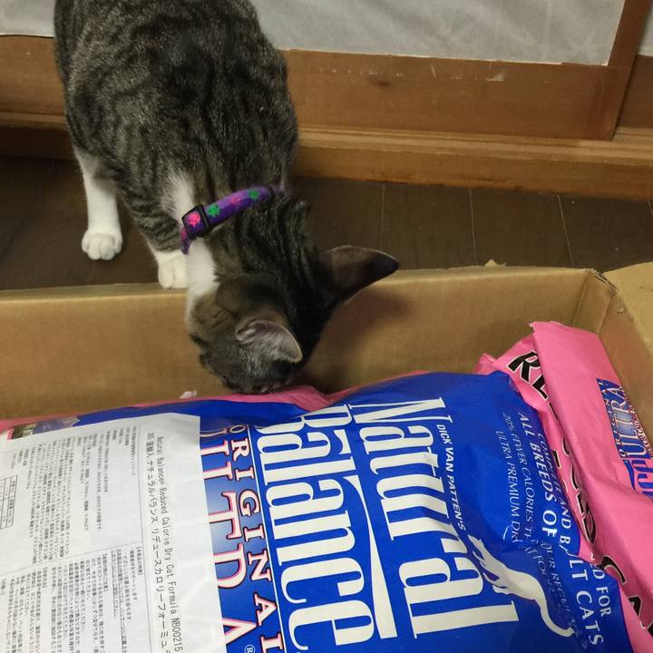 D7a82a78 187d 4de4 9f19 e863c3c03545