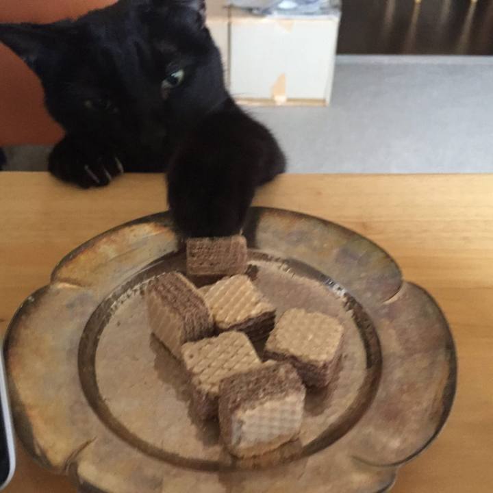 D7a88c2c a55d 4378 90e6 5ef4b1935d64