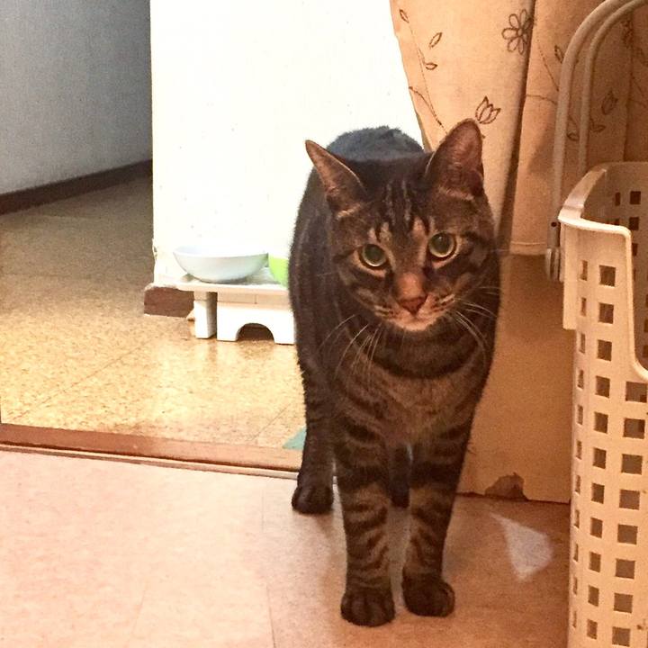 D7a8c8cd 5afb 4da3 b8d7 f0d6dfdbee76