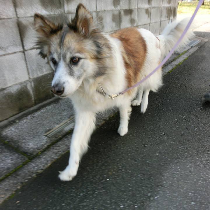 D7a9a359 7aa1 48be bf62 4b0936a27950