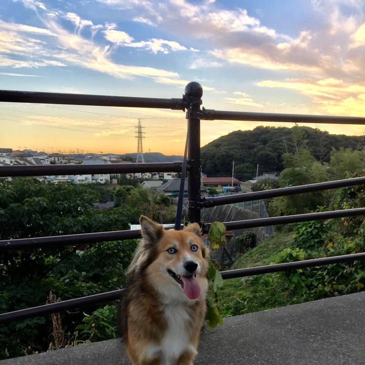 D7aa4f4f b72a 4683 9ac0 51ecb4c02b3b