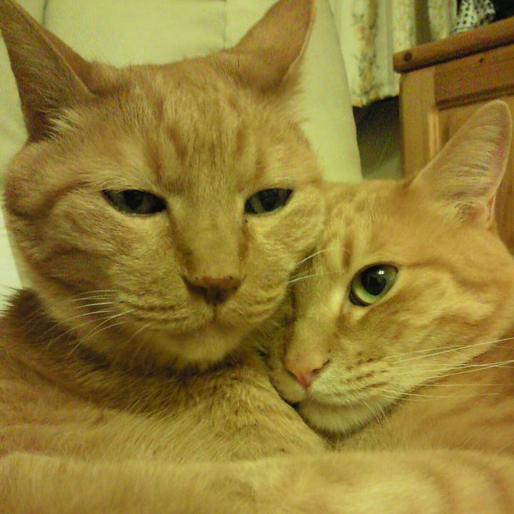 D7aa5c82 fb7d 4b8f 9adc f25096e4397a