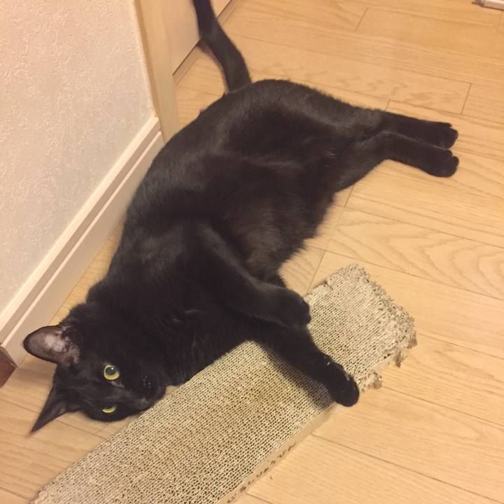 D7ab155a 28cf 4a78 b862 4ffa6c9b1771