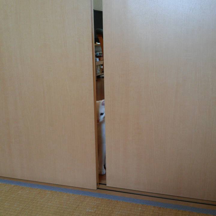 D7ace3d0 4df2 455b a73d aef147a4909d