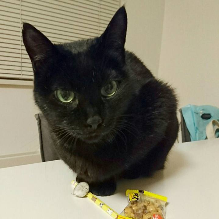 D7ace6e5 73b8 4b7b b8fa d7df1ecca1f6