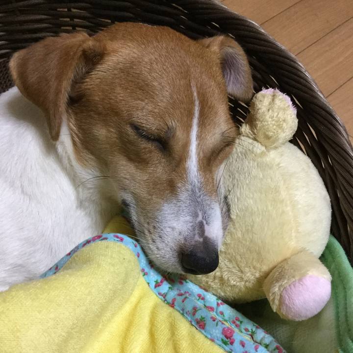 D7acec48 df73 42e2 8292 e3440309eb5c