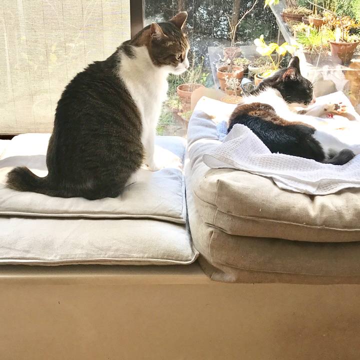 D7ad603a 846c 4565 ba3c 7c41d44c40dc