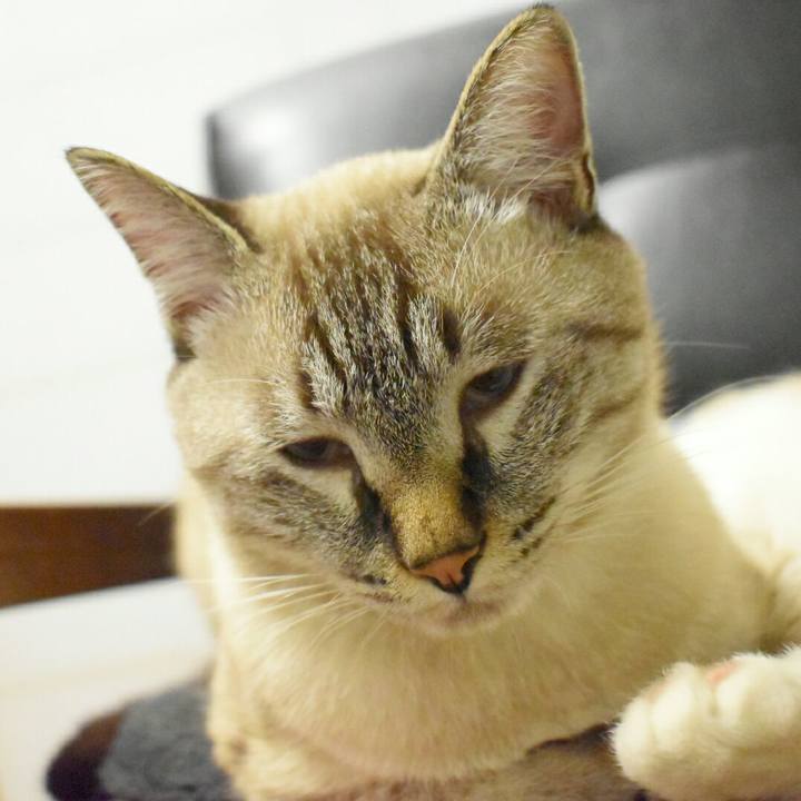 D7ad8b1d 5433 4a2d 985e 091fac800914